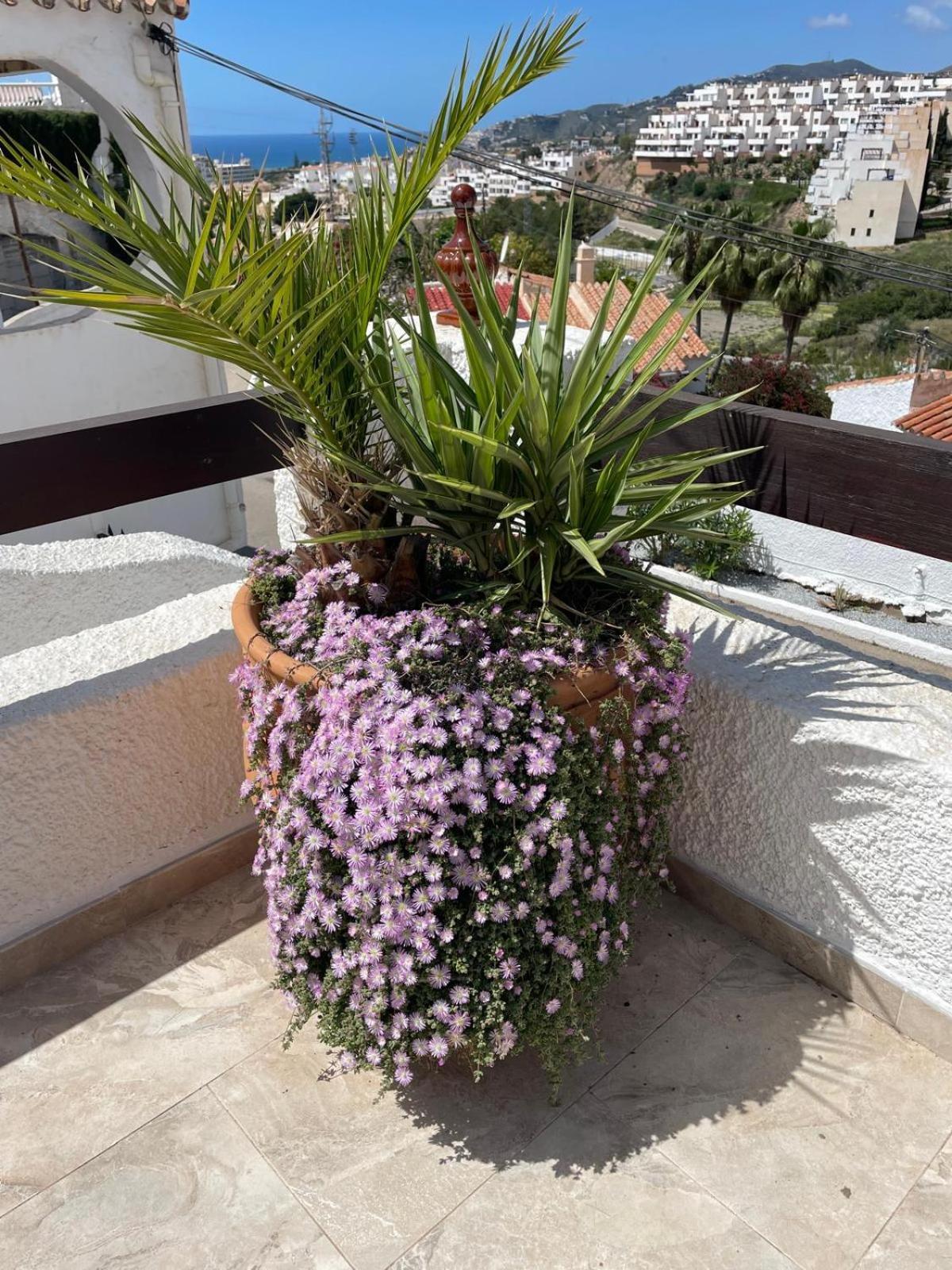 הוילה נרחה Naricha 1 Menyber מראה חיצוני תמונה